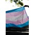 Bandeira Trans